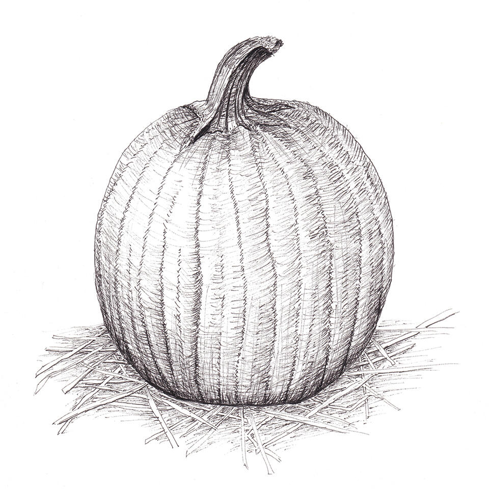 Pumpkin